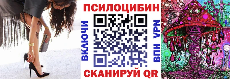 Псилоцибиновые грибы Psilocybe  ссылка на мегу вход  Апрелевка 