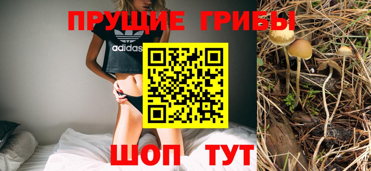 Псилоцибиновые грибы мицелий Апрелевка