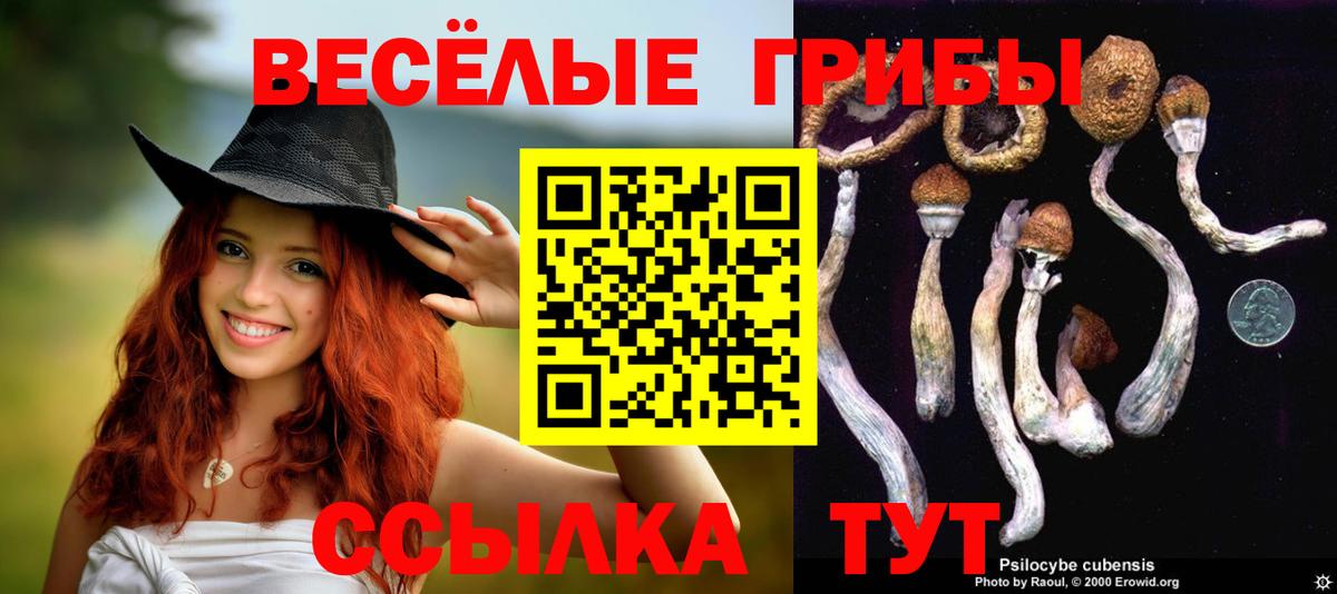 Апрелевка  Галлюциногенные грибы Cubensis  Вход с VPN  Псилоцибиновые грибы Psilocybine cubensis 
