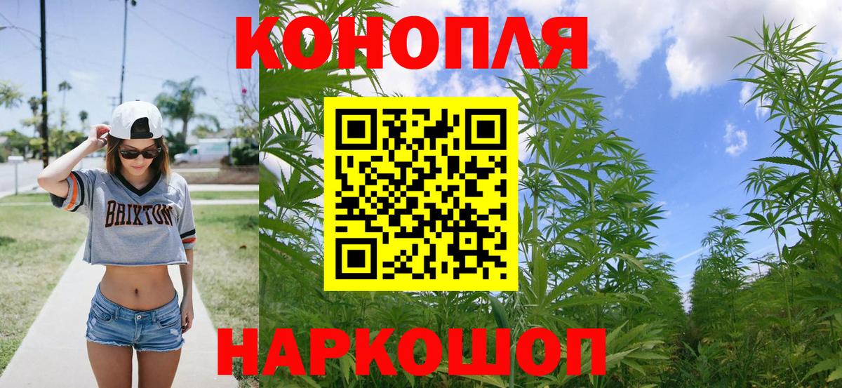 Бошки Шишки сатива  Конопля тримм  Апрелевка  Конопля AK-47  Марихуана марихуана 